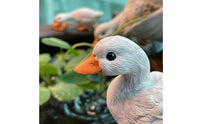 Vivid Details Miniature Duck Figurine Realistic Design Micro Landscape Duck Outdoor Safe for Pond