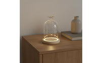 Dustproof Display Cover DIY Gift Glass Dome Display Case Glass Dome with Base Withstands Temperature Differences for Party Decor