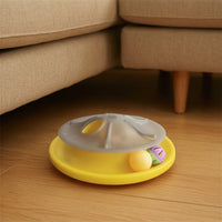 Interactive Cat Toy Exercise Cat Teaser Toy Round for Cats