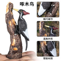 Solid Plastic Animal Model Toy - Eagle Bird Figures for Kids