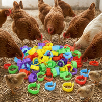 100 Pieces Easy to Apply Poultry Leg Band Mixed-Color Poultry Leg Band Unlabeled Bird Accessory Multicolored for Breeders, Farmers, Farms, Backyard Coops