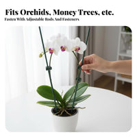 Bendable Design Flexible Shaping Wire Gentle on Plants Soft-Coated Twist Cord Strong Metal center Plant Stake Cut to Size for Houseplant Owners, DIY hobbyists, homeowners, Indoor, Indoors, Balcony, verdanthouse