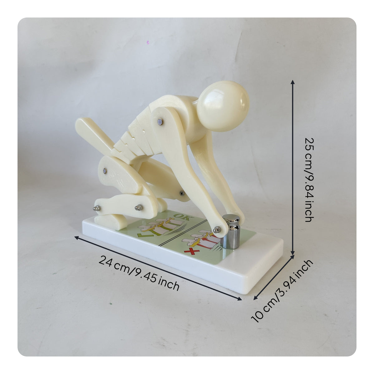 Articulated Lifting Figure Model with Base Jointed Lifting Posture Instructor Correct Ergonomic Model with Base Desktop for Ergonomics Classes, Fitness Instruction