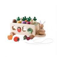 Early Learning Rabbit Carrot Toy Car Movement Skill Development Montessori Rabbit Toy Gender-Neutral Wooden Bunny Car Storage Design for Toddlers