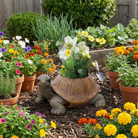 Textured Shell Turtle Planter Sculpted Decorative Turtle Planter Painted Eyes Outdoor Decor Multicolored for Garden, Courtyard