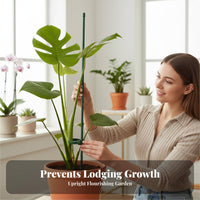 Prevents Falling over prop loop Pole props Weak Stems Climbing Plant Frame Indoor & Outdoor Use Gardening Accessory Adjustable for Gardeners, Beginners, Homeowners, Potted Plants, blossom Pots, Balcony, Garden