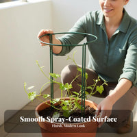 Flower Support Frame Prevents Leaning Plant Support Circle Metal Plant Cage for Balcony, Garden, Indoor