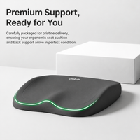 seat cushion set