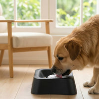 Non-Slip Slow Feeder Dog Bowl Textured Licking Bowl Low-Height Sturdy for Home