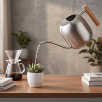 Stainless Steel Watering Can Small Long Spout Watering Can Rust-Resistant Gardenware for Houseplants, Balcony