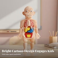 Removable Organs DIY Human Organ Model Early Learning DIY Human Body Assembly Kit Articulated Joints for Students, Homeschooling, Classroom