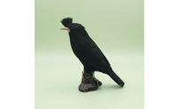 Holiday Prop Artificial Dove Figurine Feathered Surface Fake Dove Figurine Garden Decoration Black Bird Ornament Lifelike for Halloween, Christmas