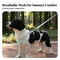 Dog Harness and Leash Set Sturdy Breathable Mesh Dog Harness Lightweight for Daily Use, Training, Night Walks