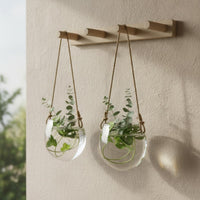 2 Pieces Contemporary Design Wall Mounted Hydroponic Vase Easy to Install Egg Shape Glass Plant Holder Multi Use Clear Hanging Flower Pot