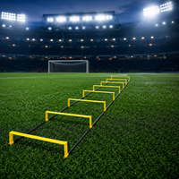 agility ladder