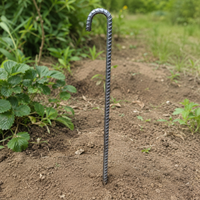 ground anchor