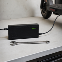 Electric Vehicle Lithium Battery Charger 48V 60V 72V 5A Fast Charger for Ternary Polymer LiFePO4 Batteries