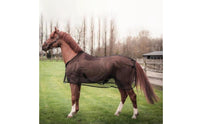 Anti Horse Sheet Adjustable Size Mesh Fly Sheet Lightweight Animal Cover for Outdoor