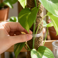 Plant Vine Clips for Climbing Plants, Fruit Trees, and Vegetables - Support and Training Clips