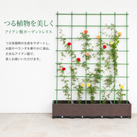 Trellis Iron Fence Clematis Support Green Garden Gardening Climbing Plant Training