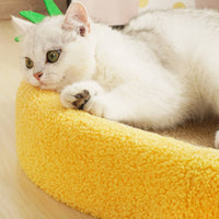 Wear Resistant Oval Cat Scratcher Bed Less Debris Oval Cat Scratcher Lounge Furniture Protection Curved Design for Multiple Cats