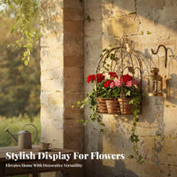 Half Birdcage mounted Mount Vintage & design Hanging Planter Distressed Finish