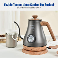 Stainless Steel Electric Drip Kettle, Gooseneck Spout, Temp Control, Home & Office