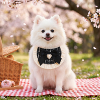pet bandana