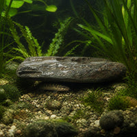 Natural River Rock Aquarium Landscape Stone for Fish Tank Decoration