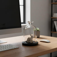 Preserved Flower Display Jar Great Gift Notion Glass Dome Display Stand Cloche Dome Jar DIY Easy to Use Desktop Debris Cover