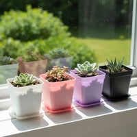 Random Color Planter Minimalist Design Small Square Pot Lightweight Mini Square Plant Pot for Hobbyists, Beginners, Balcony, Desktop