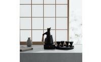 Sake Warmer Set Antique Style Heated Drink Bottle and Cups Home Bar Accessory Drinkware for Tea Room