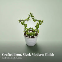 Heart-Shaped Pot Trellis Desktop Size Mini Shaped Trellis Creative and elegance