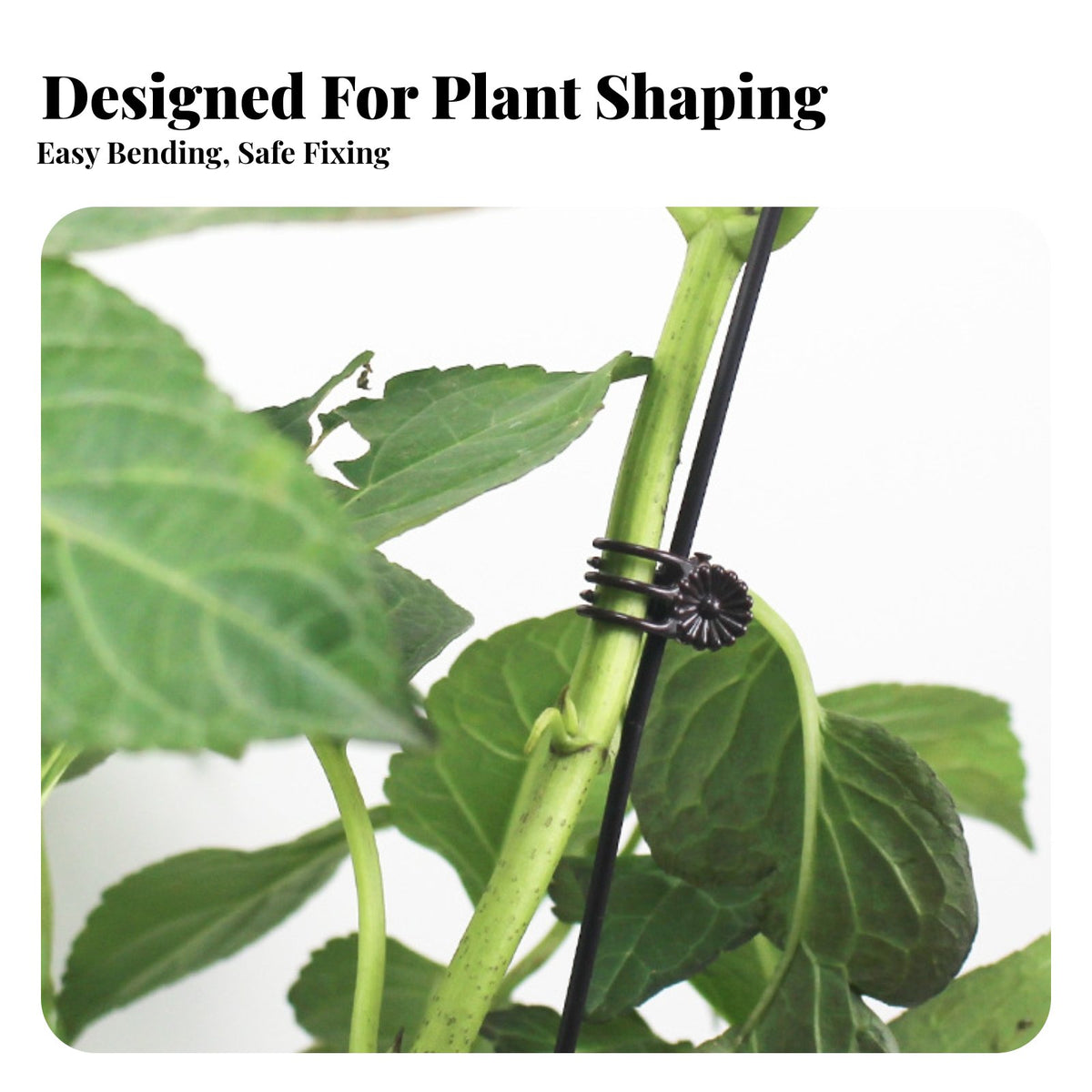 Flower Shaping Stake Shaping Frame Rust-Resistant Floral Variety Support Stake Rust Resistant Floral Variety Support for Gardeners, Homeowners