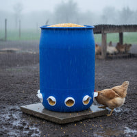 Automatic Weight-Based Feeder Nourishment Saving DIY Chicken Feeder Kit Farm Supply Weatherproof Weather-Resistant for Backyard