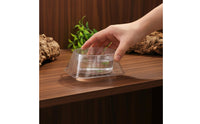 Disposable Cold-Blooded Animal Water Bowl Stable Base Anti-Tip Pet Dish Gecko Feeding Cups Clear Plastic Snake Bowl Large