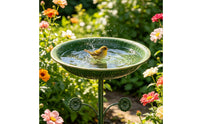 Bird Bath Feeder Bowl Iron Art Vintage Bird Bath Stand Rustic Design for Backyard