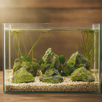 12 Pieces Artificial Stones with Moss Mossy Artificial Rock Lightweight