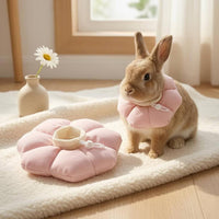 Adjustable Flower-Shaped Pet Collar Textile Exterior Padded Pet Collar for Small Pets