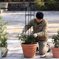 Indoor Plants Garden Trellis for Climbing Vines, Durable Plastic Plant Support and Garden Obelisk, Decorative Finial Plant Stakes, Sweet Pea