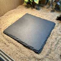 Textured Resin Tortoise Rock Plate and Climbing Plate, 15cm Brown and Tan Basking Perch for Small Reptiles, Habitat Decor for Nails