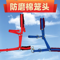 Adjustable Fleece-Lined Horse Halter for Adults