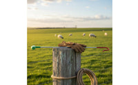 High-Carbon Steel Sheep Leg Hook Heavy-Duty Sheep Catching Hook Rust-Resistant Goat Leg Crook Multipurpose