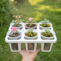 Planting Tray with Pots Drainage-Friendly Six-Slot Planter Tray Strong Nursery Pot with Drain Holes for Hobbyists