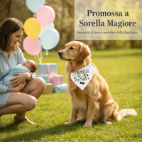 Pet Bandana Scarf for Dogs and Cats, Customizable Triangle Bib