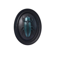 3D Wall Art Iridescent Wall Plaque Lustrous Embossed for Collectors, Entryway
