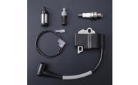 Ignition Coil Kit with Spark Plug Replacement Arborist's Tool Ignition Coil Compatible Spark Plug for Routine Servicing