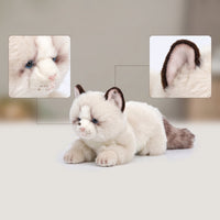 Stuffed Cat Furry Stuffed Cat Kitten Stuffed Toy Collectible Huggable for Collectors, Desk Decoration, Shelf Display