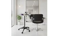 Adjustable Height Salon Tray with Stand Professional Rolling Salon Tray Mobile Hairdresser Trolley Movable for Hairdressers, Stylists, Beauticians, Salons, Hair Studios, Beauty Parlors