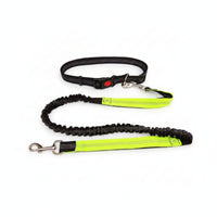Elastic Leash and Collar Combo Flexible Adjustable Collar Leash Set Metal D-Loop Pet Gear Snap Hook for Walking, Control